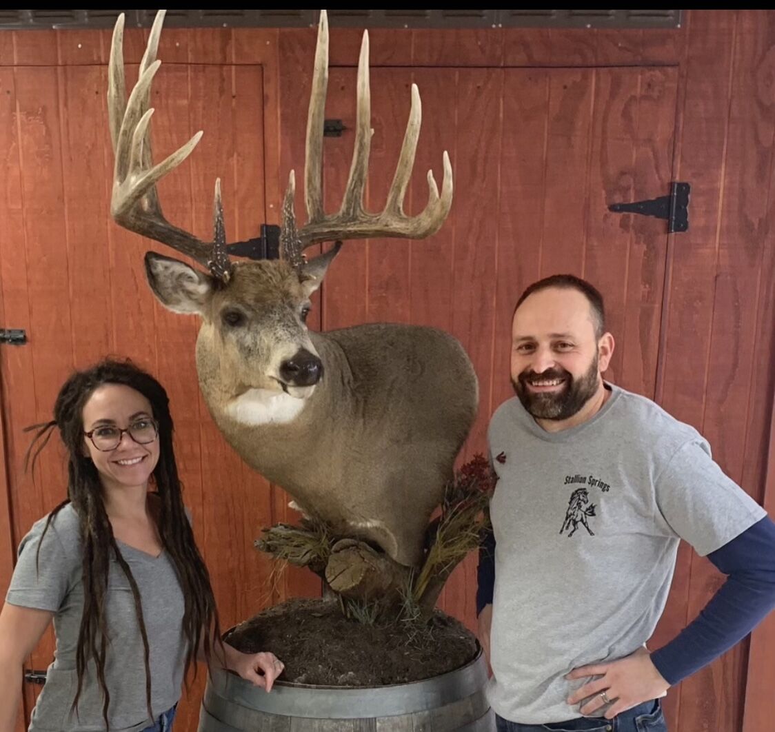 taxidermy